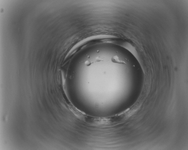 X0000063450288200601271547