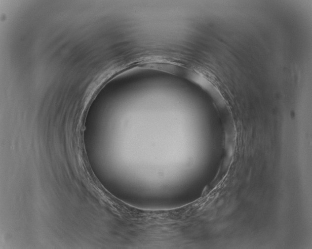 X0000063450289200601271546