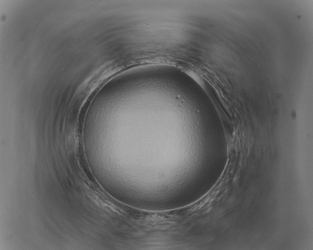 X0000063450290200601271546