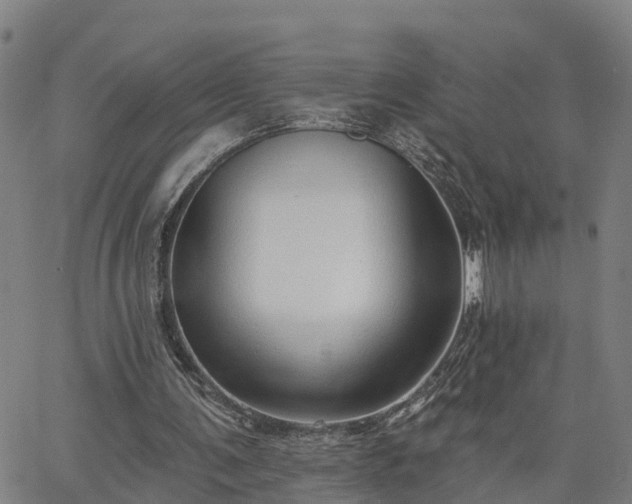 X0000063450291200601271546