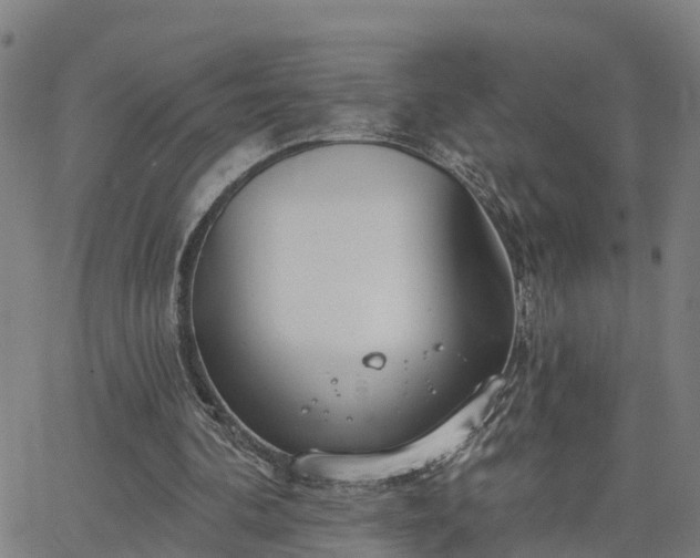 X0000063450292200601271546