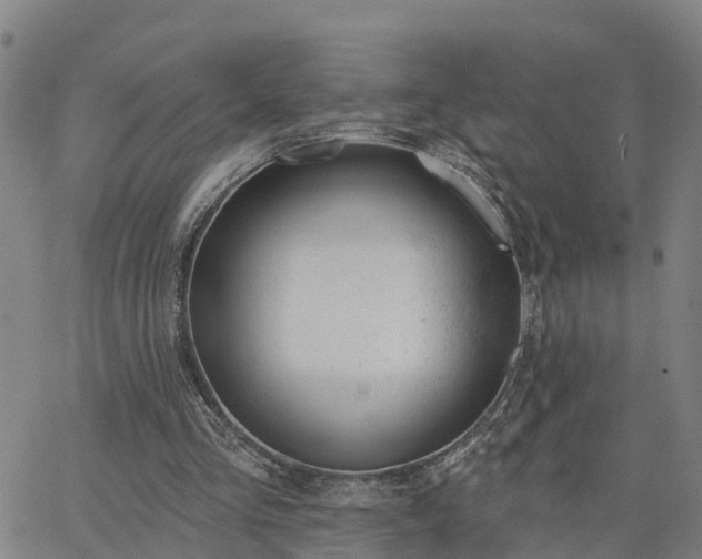 X0000063450293200601271546