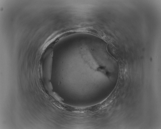 X0000063450295200601271546