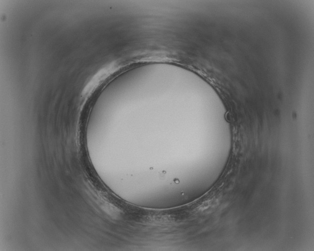 X0000063450296200601271546