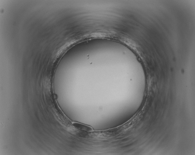 X0000063450297200601271546