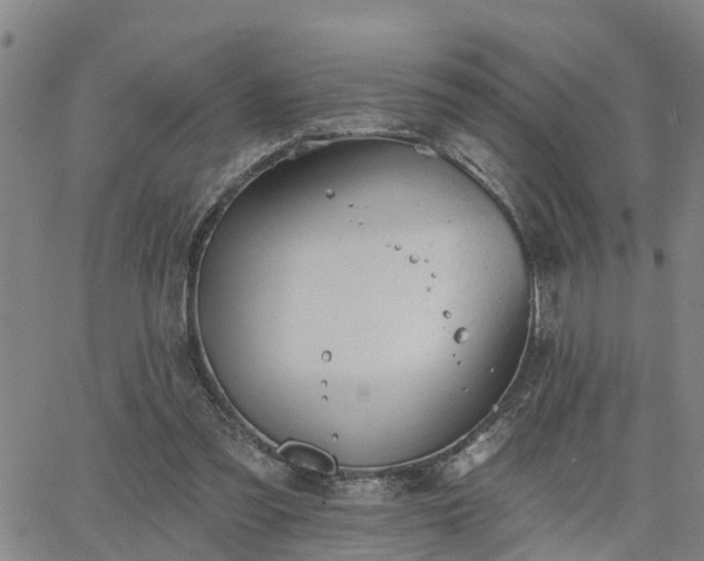 X0000063450301200601271546