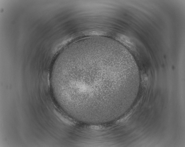 X0000063450302200601271546