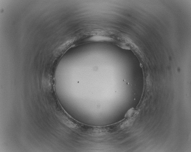 X0000063450305200601271546