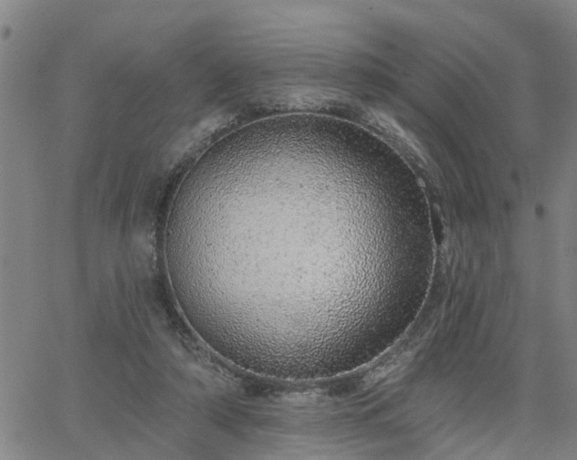 X0000063450306200601271546