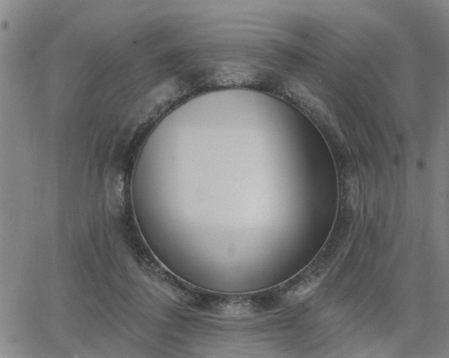 X0000063450308200601271546