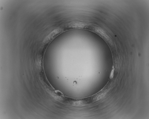 X0000063450309200601271546