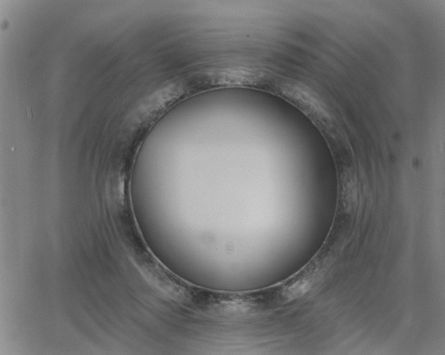 X0000063450310200601271546