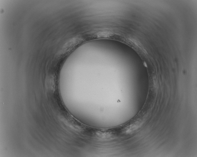 X0000063450311200601271546