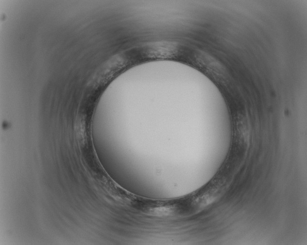 X0000063450312200601271546