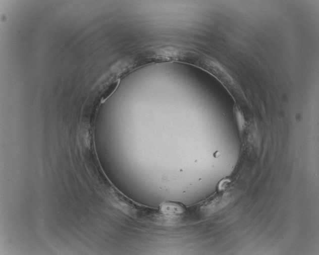 X0000063450313200601271546