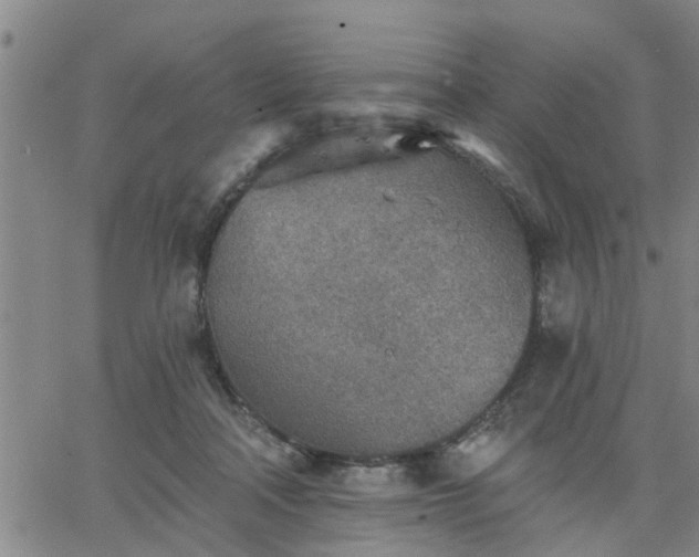 X0000063450314200601271546