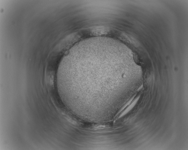 X0000063450315200601271546