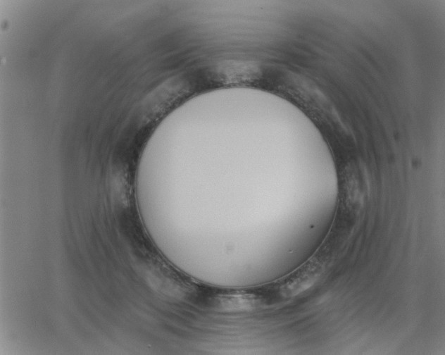 X0000063450316200601271545