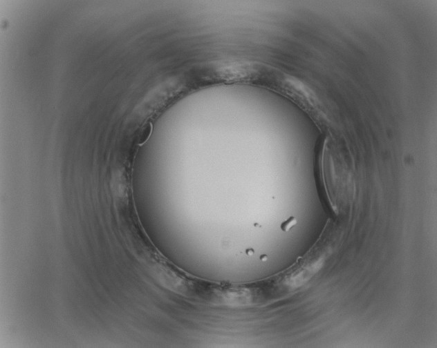 X0000063450317200601271545