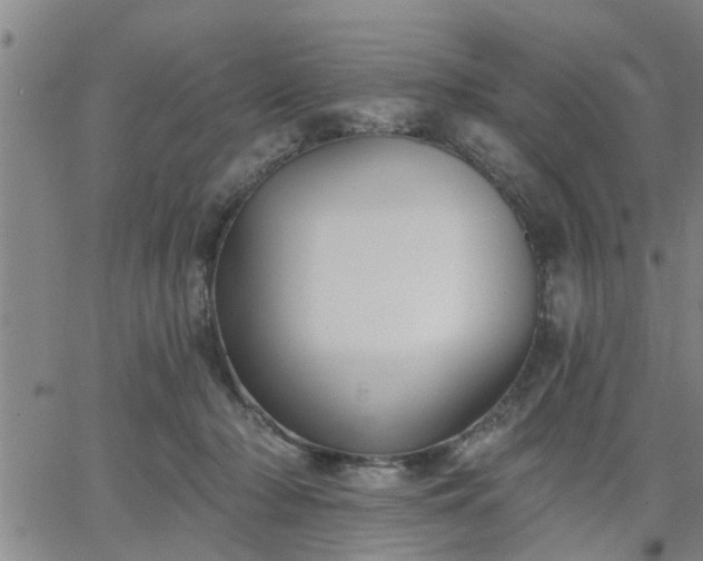 X0000063450318200601271545