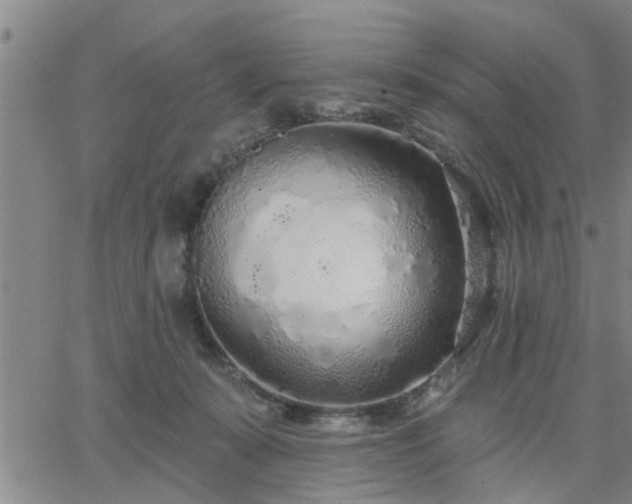 X0000063450319200601271545