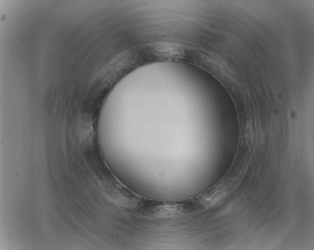 X0000063450320200601271545