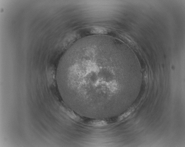 X0000063450322200601271545