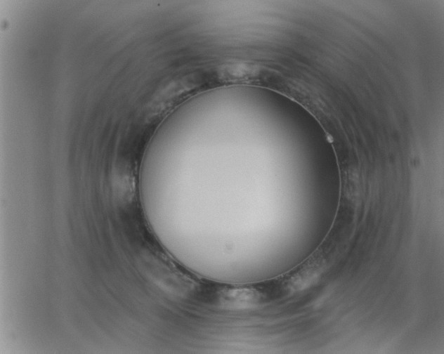 X0000063450324200601271545