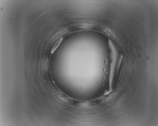 X0000063450325200601271545