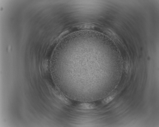 X0000063450326200601271545