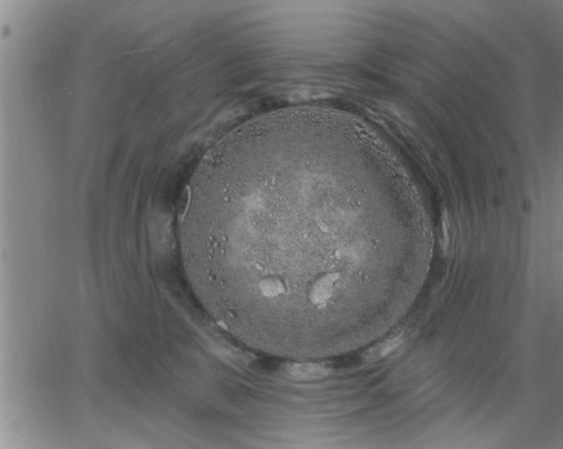 X0000063450327200601271545