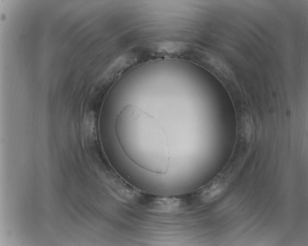 X0000063450328200601271545