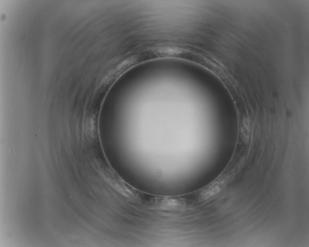 X0000063450330200601271545