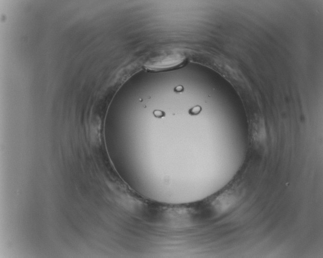 X0000063450332200601271545