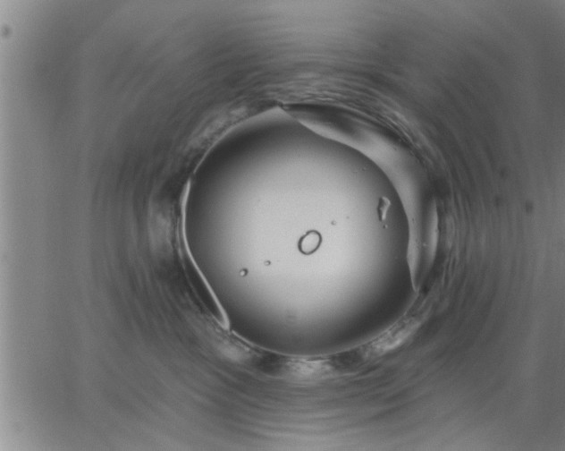 X0000063450333200601271545