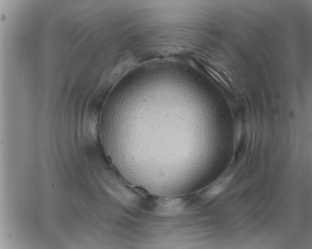 X0000063450334200601271545