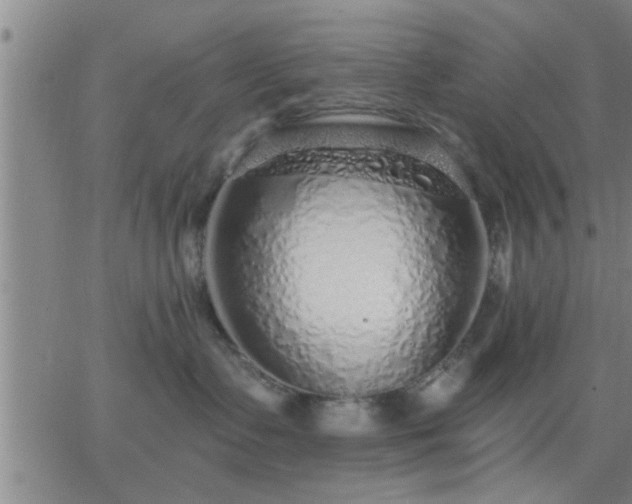 X0000063450335200601271545