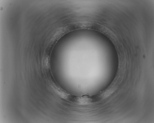 X0000063450336200601271545