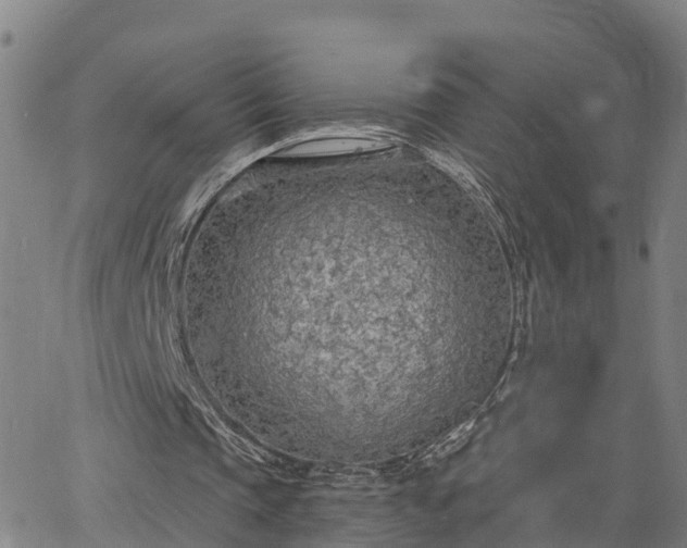 X0000063450337200601271544