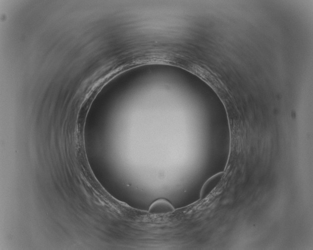 X0000063450338200601271544