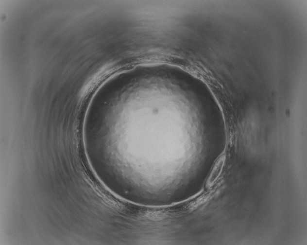 X0000063450341200601271544