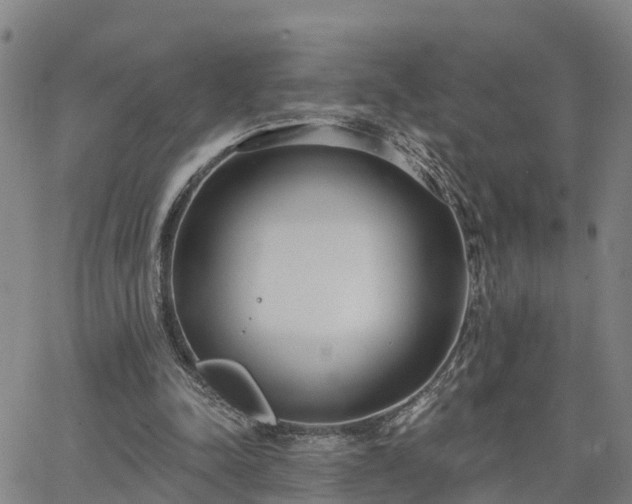 X0000063450342200601271544