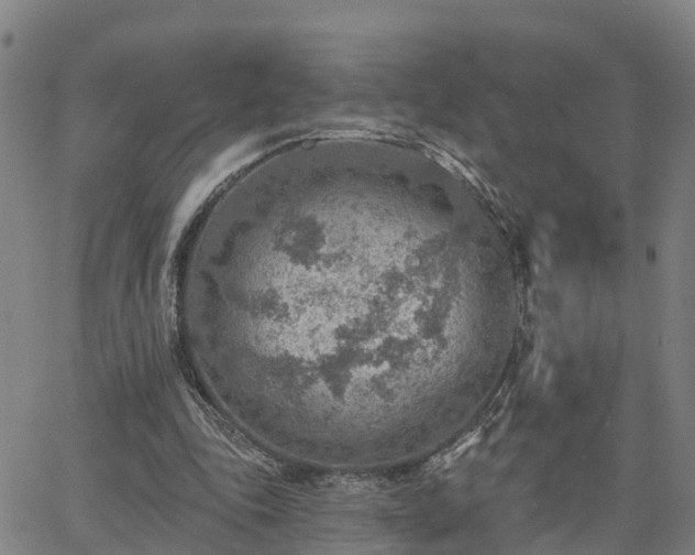 X0000063450343200601271544