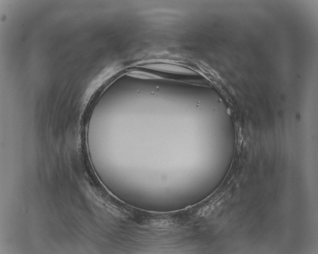 X0000063450344200601271544