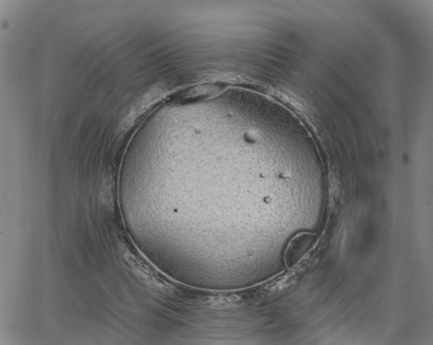 X0000063450345200601271545