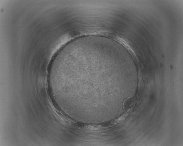 X0000063450346200601271545