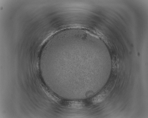 X0000063450347200601271545