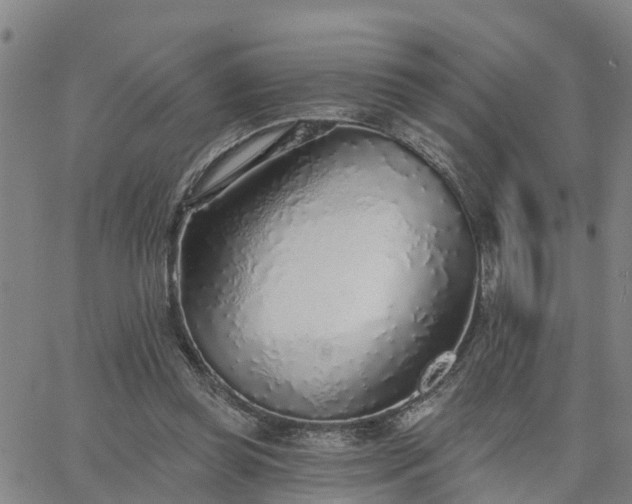 X0000063450349200601271545