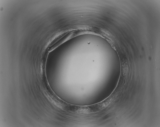 X0000063450350200601271545