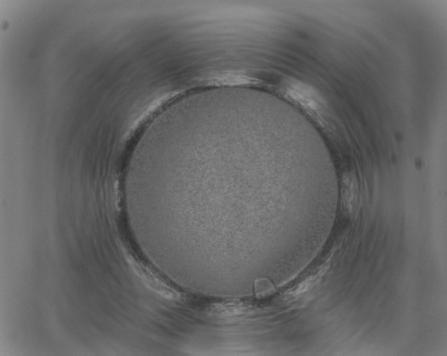 X0000063450351200601271545